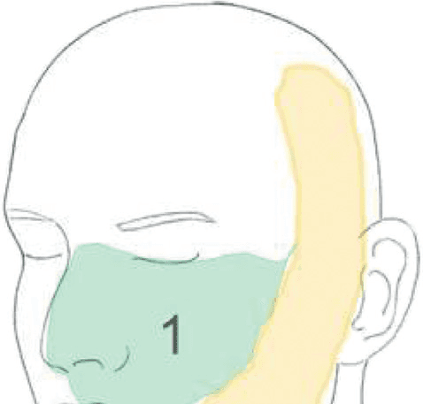 상완신경총 - Figure 2 - 원문 캡션입니다 (자동 번역 실패 — 원문 표기): Figure 2.  Ultrasound imaging of the brac